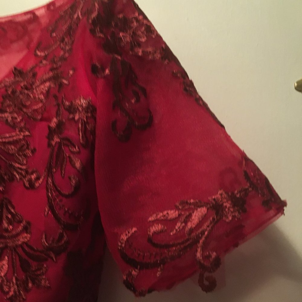 Gorgeous Fit and Flair Short Burgundy Dress - Picture 12 of 15